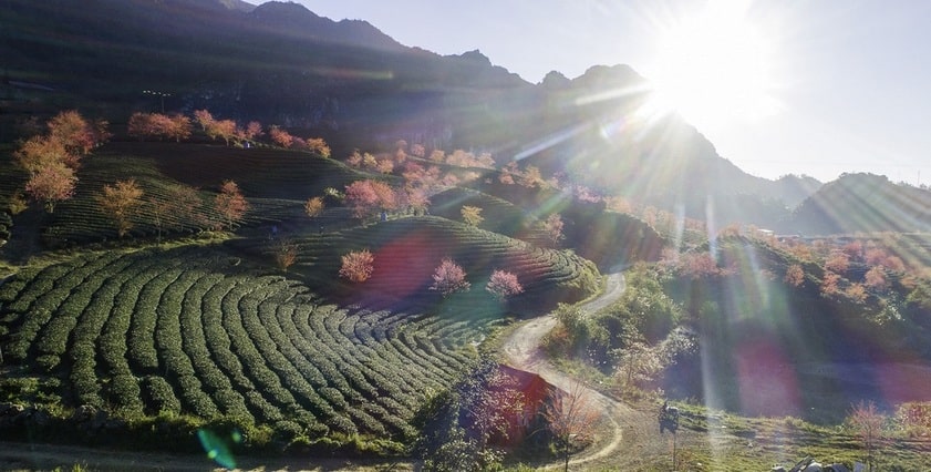 Vẻ đẹp khiến bao người say mê ở Sapa những ngày đầu năm mới 