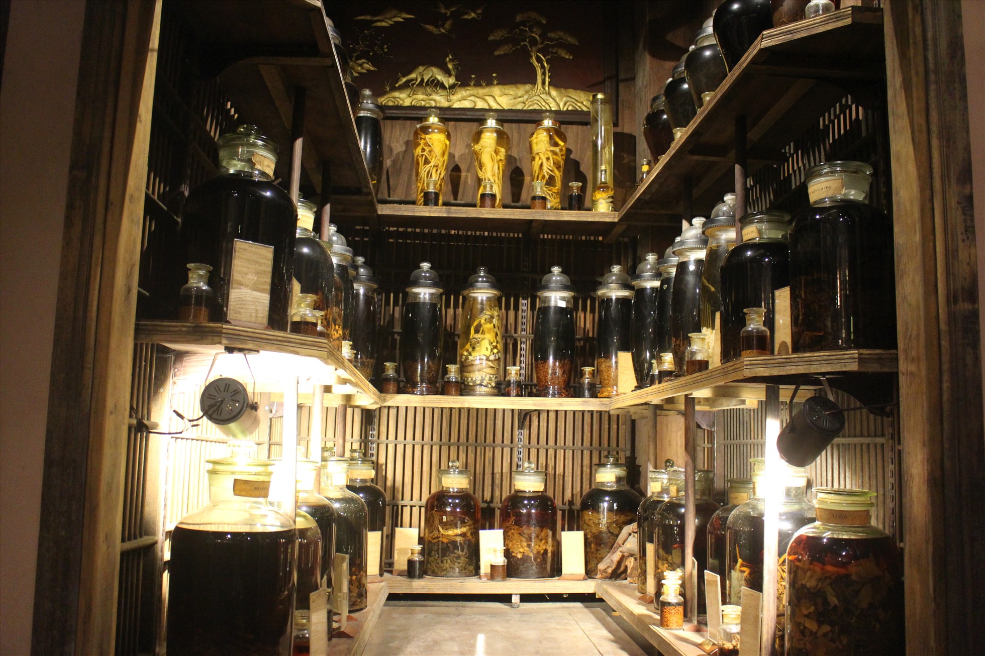 Bộ sưu tập các bài rượu thuốc của y học cổ truyền.