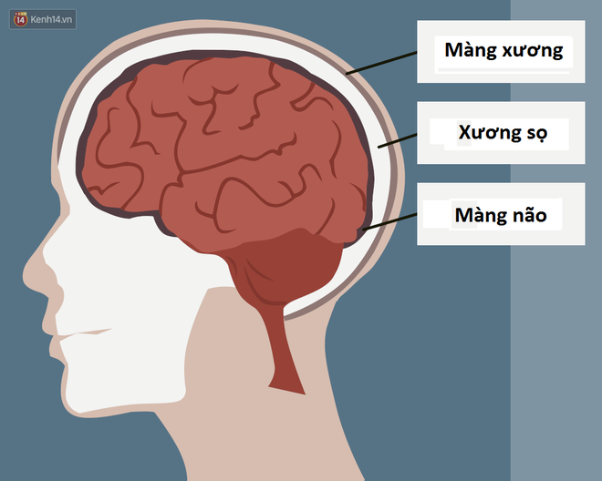 Mổ phanh não khi bệnh nhân vẫn đang tỉnh? Phương pháp nghe thì ghê rợn này ngày càng phổ biến và đây là lý do - Ảnh 2. Mổ phanh não khi bệnh nhân vẫn đang tỉnh? Phương pháp nghe thì ghê rợn này ngày càng phổ biến và đây là lý do - Ảnh 2.